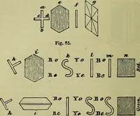 An illustration from The microscope : its history, construction, and application, being a familiar introduction to the use of the instrument, and the study of microscopical science / by Jabez Hogg ; with upwards of five hundred engravings, and coloured illustrations by Tuffen West. (1883)