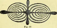 An illustration from The microscope : its history, construction, and application, being a familiar introduction to the use of the instrument, and the study of microscopical science / by Jabez Hogg ; with upwards of five hundred engravings, and coloured illustrations by Tuffen West. (1883)