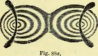An illustration from The microscope : its history, construction, and application, being a familiar introduction to the use of the instrument, and the study of microscopical science / by Jabez Hogg ; with upwards of five hundred engravings, and coloured illustrations by Tuffen West. (1883)
