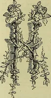 An illustration from The microscope : its history, construction, and application, being a familiar introduction to the use of the instrument, and the study of microscopical science / by Jabez Hogg ; with upwards of five hundred engravings, and coloured illustrations by Tuffen West. (1883)