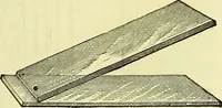 An illustration from The microscope : its history, construction, and application, being a familiar introduction to the use of the instrument, and the study of microscopical science / by Jabez Hogg ; with upwards of five hundred engravings, and coloured illustrations by Tuffen West. (1883)