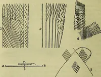 An illustration from The microscope : its history, construction, and application, being a familiar introduction to the use of the instrument, and the study of microscopical science / by Jabez Hogg ; with upwards of five hundred engravings, and coloured illustrations by Tuffen West. (1883)