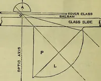An illustration from The microscope : its history, construction, and application, being a familiar introduction to the use of the instrument, and the study of microscopical science / by Jabez Hogg ; with upwards of five hundred engravings, and coloured illustrations by Tuffen West. (1883)