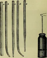 An illustration from The microscope : its history, construction, and application, being a familiar introduction to the use of the instrument, and the study of microscopical science / by Jabez Hogg ; with upwards of five hundred engravings, and coloured illustrations by Tuffen West. (1883)