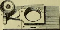 An illustration from The microscope : its history, construction, and application, being a familiar introduction to the use of the instrument, and the study of microscopical science / by Jabez Hogg ; with upwards of five hundred engravings, and coloured illustrations by Tuffen West. (1883)