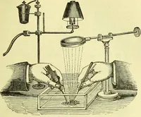 An illustration from The microscope : its history, construction, and application, being a familiar introduction to the use of the instrument, and the study of microscopical science / by Jabez Hogg ; with upwards of five hundred engravings, and coloured illustrations by Tuffen West. (1883)
