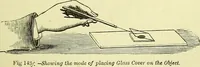 An illustration from The microscope : its history, construction, and application, being a familiar introduction to the use of the instrument, and the study of microscopical science / by Jabez Hogg ; with upwards of five hundred engravings, and coloured illustrations by Tuffen West. (1883)
