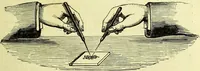 An illustration from The microscope : its history, construction, and application, being a familiar introduction to the use of the instrument, and the study of microscopical science / by Jabez Hogg ; with upwards of five hundred engravings, and coloured illustrations by Tuffen West. (1883)