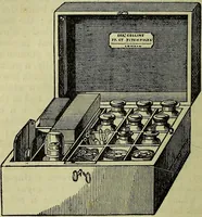 An illustration from The microscope : its history, construction, and application, being a familiar introduction to the use of the instrument, and the study of microscopical science / by Jabez Hogg ; with upwards of five hundred engravings, and coloured illustrations by Tuffen West. (1883)