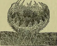 An illustration from The microscope : its history, construction, and application, being a familiar introduction to the use of the instrument, and the study of microscopical science / by Jabez Hogg ; with upwards of five hundred engravings, and coloured illustrations by Tuffen West. (1883)