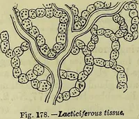 An illustration from The microscope : its history, construction, and application, being a familiar introduction to the use of the instrument, and the study of microscopical science / by Jabez Hogg ; with upwards of five hundred engravings, and coloured illustrations by Tuffen West. (1883)