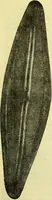 An illustration from The microscope : its history, construction, and application, being a familiar introduction to the use of the instrument, and the study of microscopical science / by Jabez Hogg ; with upwards of five hundred engravings, and coloured illustrations by Tuffen West. (1883)