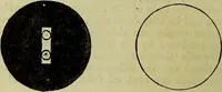 An illustration from The microscope : its history, construction, and application, being a familiar introduction to the use of the instrument, and the study of microscopical science / by Jabez Hogg ; with upwards of five hundred engravings, and coloured illustrations by Tuffen West. (1883)