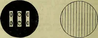 An illustration from The microscope : its history, construction, and application, being a familiar introduction to the use of the instrument, and the study of microscopical science / by Jabez Hogg ; with upwards of five hundred engravings, and coloured illustrations by Tuffen West. (1883)