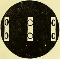 An illustration from The microscope : its history, construction, and application, being a familiar introduction to the use of the instrument, and the study of microscopical science / by Jabez Hogg ; with upwards of five hundred engravings, and coloured illustrations by Tuffen West. (1883)