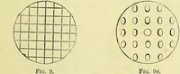 An illustration from The microscope : its history, construction, and application, being a familiar introduction to the use of the instrument, and the study of microscopical science / by Jabez Hogg ; with upwards of five hundred engravings, and coloured illustrations by Tuffen West. (1883)