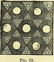 An illustration from The microscope : its history, construction, and application, being a familiar introduction to the use of the instrument, and the study of microscopical science / by Jabez Hogg ; with upwards of five hundred engravings, and coloured illustrations by Tuffen West. (1883)