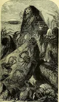 An illustration from The microscope : its history, construction, and application, being a familiar introduction to the use of the instrument, and the study of microscopical science / by Jabez Hogg ; with upwards of five hundred engravings, and coloured illustrations by Tuffen West. (1883)