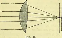 An illustration from The microscope : its history, construction, and application, being a familiar introduction to the use of the instrument, and the study of microscopical science / by Jabez Hogg ; with upwards of five hundred engravings, and coloured illustrations by Tuffen West. (1883)