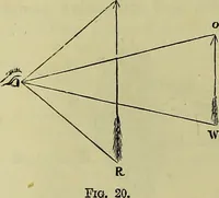 An illustration from The microscope : its history, construction, and application, being a familiar introduction to the use of the instrument, and the study of microscopical science / by Jabez Hogg ; with upwards of five hundred engravings, and coloured illustrations by Tuffen West. (1883)