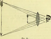 An illustration from The microscope : its history, construction, and application, being a familiar introduction to the use of the instrument, and the study of microscopical science / by Jabez Hogg ; with upwards of five hundred engravings, and coloured illustrations by Tuffen West. (1883)