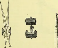 An illustration from The microscope : its history, construction, and application, being a familiar introduction to the use of the instrument, and the study of microscopical science / by Jabez Hogg ; with upwards of five hundred engravings, and coloured illustrations by Tuffen West. (1883)