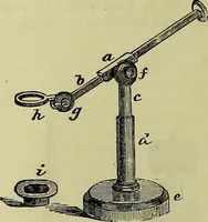 An illustration from The microscope : its history, construction, and application, being a familiar introduction to the use of the instrument, and the study of microscopical science / by Jabez Hogg ; with upwards of five hundred engravings, and coloured illustrations by Tuffen West. (1883)