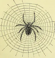 An illustration from The microscope : its history, construction, and application, being a familiar introduction to the use of the instrument, and the study of microscopical science / by Jabez Hogg ; with upwards of five hundred engravings, and coloured illustrations by Tuffen West. (1883)