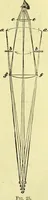 An illustration from The microscope : its history, construction, and application, being a familiar introduction to the use of the instrument, and the study of microscopical science / by Jabez Hogg ; with upwards of five hundred engravings, and coloured illustrations by Tuffen West. (1883)