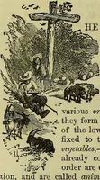 An illustration from The microscope : its history, construction, and application, being a familiar introduction to the use of the instrument, and the study of microscopical science / by Jabez Hogg ; with upwards of five hundred engravings, and coloured illustrations by Tuffen West. (1883)