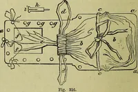 An illustration from The microscope : its history, construction, and application, being a familiar introduction to the use of the instrument, and the study of microscopical science / by Jabez Hogg ; with upwards of five hundred engravings, and coloured illustrations by Tuffen West. (1883)