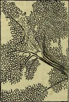 An illustration from The microscope : its history, construction, and application, being a familiar introduction to the use of the instrument, and the study of microscopical science / by Jabez Hogg ; with upwards of five hundred engravings, and coloured illustrations by Tuffen West. (1883)