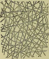 An illustration from The microscope : its history, construction, and application, being a familiar introduction to the use of the instrument, and the study of microscopical science / by Jabez Hogg ; with upwards of five hundred engravings, and coloured illustrations by Tuffen West. (1883)