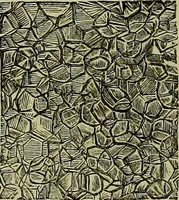 An illustration from The microscope : its history, construction, and application, being a familiar introduction to the use of the instrument, and the study of microscopical science / by Jabez Hogg ; with upwards of five hundred engravings, and coloured illustrations by Tuffen West. (1883)