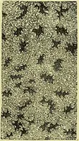 An illustration from The microscope : its history, construction, and application, being a familiar introduction to the use of the instrument, and the study of microscopical science / by Jabez Hogg ; with upwards of five hundred engravings, and coloured illustrations by Tuffen West. (1883)