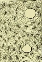 An illustration from The microscope : its history, construction, and application, being a familiar introduction to the use of the instrument, and the study of microscopical science / by Jabez Hogg ; with upwards of five hundred engravings, and coloured illustrations by Tuffen West. (1883)