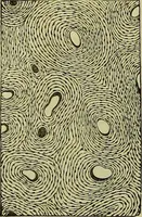 An illustration from The microscope : its history, construction, and application, being a familiar introduction to the use of the instrument, and the study of microscopical science / by Jabez Hogg ; with upwards of five hundred engravings, and coloured illustrations by Tuffen West. (1883)