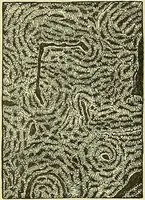 An illustration from The microscope : its history, construction, and application, being a familiar introduction to the use of the instrument, and the study of microscopical science / by Jabez Hogg ; with upwards of five hundred engravings, and coloured illustrations by Tuffen West. (1883)