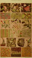 An illustration from The microscope : its history, construction, and application, being a familiar introduction to the use of the instrument, and the study of microscopical science / by Jabez Hogg ; with upwards of five hundred engravings, and coloured illustrations by Tuffen West. (1883)