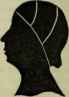 An illustration from Character, and its external signs. (1865)