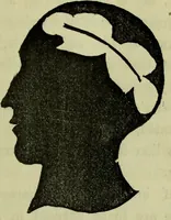 Picture 2 of 24 from Character, and its external signs. (1865), leaf 15