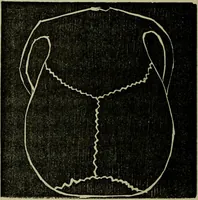 An illustration from Character, and its external signs. (1865)