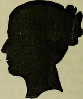 Picture 9 of 24 from Character, and its external signs. (1865), leaf 24