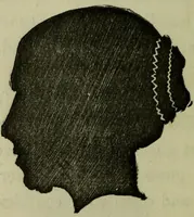 Picture 10 of 24 from Character, and its external signs. (1865), leaf 24