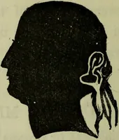 An illustration from Character, and its external signs. (1865)