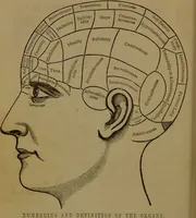 An illustration from New illustrated self-instructor in phrenology and physiology : with over one hundred engravings, together with the chart and character of ... as marked by ... / by O.S. and L.N. Fowler. (1852)