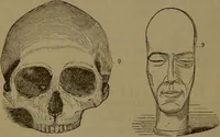 An illustration from New illustrated self-instructor in phrenology and physiology : with over one hundred engravings, together with the chart and character of ... as marked by ... / by O.S. and L.N. Fowler. (1852)
