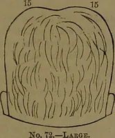 Picture 44 of 63 from New illustrated self-instructor in phrenology and physiology : with over one hundred engravings, together with the chart and character of ... as marked by ... / by O.S. and L.N. Fowler. (1852), leaf 121