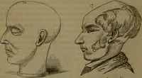 An illustration from New illustrated self-instructor in phrenology and physiology : with over one hundred engravings, together with the chart and character of ... as marked by ... / by O.S. and L.N. Fowler. (1852)