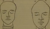 An illustration from New illustrated self-instructor in phrenology and physiology : with over one hundred engravings, together with the chart and character of ... as marked by ... / by O.S. and L.N. Fowler. (1852)
